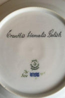 Royal Copenhagen Flora Danica Mittagsteller Nr. 735/3550