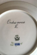 Royal Copenhagen Flora Danica Lunch Plate No 735/3550