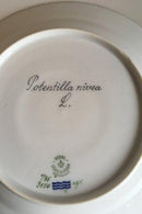 Royal Copenhagen Flora Danica Frokosttallerken No 735/3550