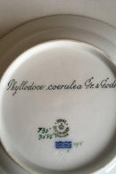 Royal Copenhagen Flora Danica Desserttallerken No 735/3546