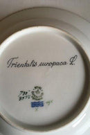 Royal Copenhagen Flora Danica Dessertteller Nr. 735/3546