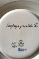 Royal Copenhagen Flora Danica Dyb tallerken No 735/3545