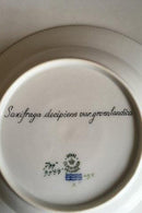 Royal Copenhagen Flora Danica Tiefer Teller Nr. 735/3545