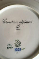 Royal Copenhagen Flora Danica Dyb tallerken No 735/3545