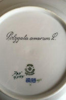 Royal Copenhagen Flora Danica Tiefer Teller Nr. 735/3545