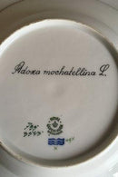 Royal Copenhagen Flora Danica Dyb tallerken No 735/3545