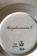 Royal Copenhagen Flora Danica Dyb tallerken No 735/3545