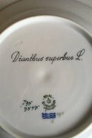 Royal Copenhagen Flora Danica Tiefer Teller Nr. 735/3545