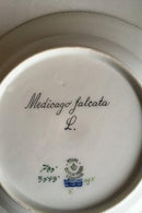 Royal Copenhagen Flora Danica Tiefer Teller Nr. 735/3545