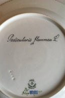 Royal Copenhagen Flora Danica Spisetallerken No 735/3549