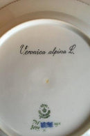 Royal Copenhagen Flora Danica Spisetallerken No 735/3549