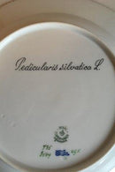 Royal Copenhagen Flora Danica Spisetallerken No 735/3549