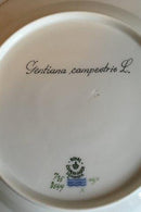 Royal Copenhagen Flora Danica Spisetallerken No 735/3549