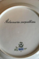 ロイヤルコペンハーゲン フローラダニカ ディナープレート No 735/3549