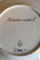 Royal Copenhagen Flora Danica Speiseteller Nr. 735/3549