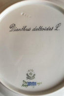 Royal Copenhagen Flora Danica Speiseteller Nr. 735/3549