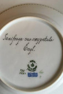 Royal Copenhagen Flora Danica Kuchenteller Nr. 735/3551