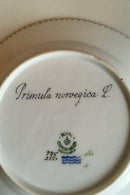 Royal Copenhagen Flora Danica Cake Plate No 735/3551