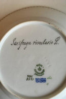 Royal Copenhagen Flora Danica Kuchenteller Nr. 735/3551