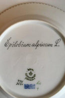 Royal Copenhagen Flora Danica Kuchenteller Nr. 735/3551