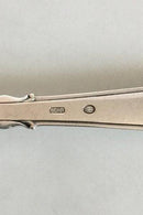 Cohr Serving Spoon in Silver Elite