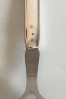 Cohr Salad Set in Silver and Stainless Steel