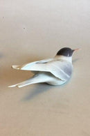 皇家哥本哈根的Terne图&