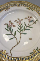 Royal Copenhagen Flora Danica Mittagsteller Nr. 20/3554 mit durchbrochenem Rand