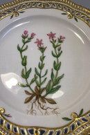 皇家哥本哈根Flora Danica午餐盘，编号20/3554，带穿孔边缘