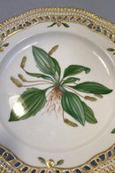 Royal Copenhagen Flora Danica Luncheon Plate No 20/3554 with Pierced Border