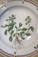 Royal Copenhagen Flora Danica Dessertteller Nr. 20/3551