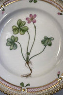 Royal Copenhagen Flora Danica Dessertteller Nr. 20/3551