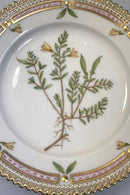 Royal Copenhagen Flora Danica Servierplatte Nr. 20/3552