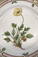 Royal Copenhagen Flora Danica Kagetallerken Nr. 20/3552.