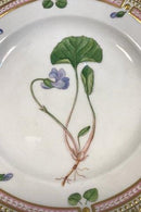 Royal Copenhagen Flora Danica Dessertteller Nr. 20/3551