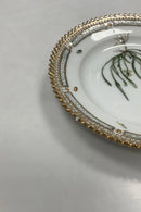 Royal Copenhagen Privat gemalt Flora Danica Kuchenteller Nr 3552