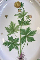 Royal Copenhagen Flora Danica Oval Serving Tray No 20/3519