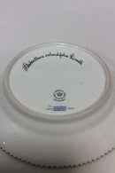 Royal Copenhagen Flora Danica Salatteller Nr. 20/3573