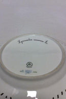 Royal Copenhagen Flora Danica Teller mit durchbrochenem Rand Nr. 20/3553