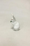 皇家哥本哈根的兔子图&