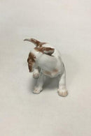 ビング＆グロンダール ポインターの子犬のフィギュリン No 2026