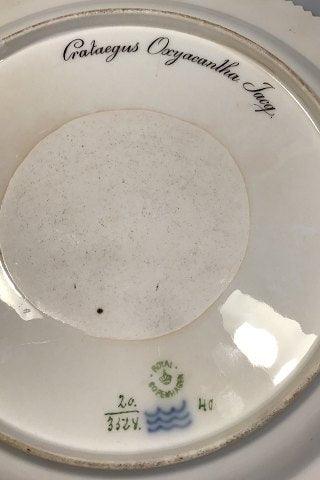 Royal Copenhagen Flora Danica Rundt Fad No 20/3524 (Pre 1923)