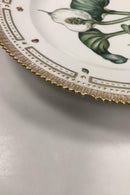 Royal Copenhagen Privat gemalt Flora Danica Essteller Nr 3549