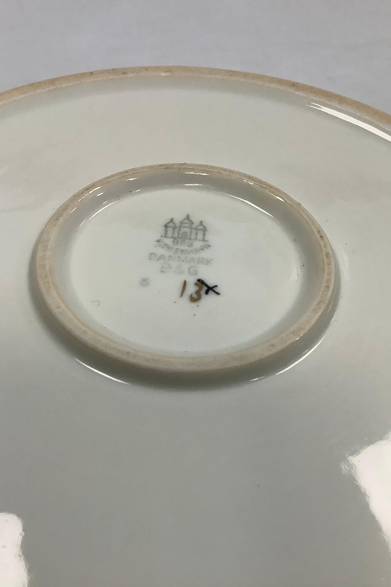 Bing and Grondahl仙人掌水壶，带盖。可容纳1.5升。状态良好，无破损。