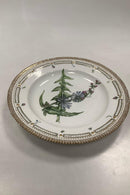 Royal Copenhagen Privat gemalt Flora Danica Essteller Nr 3549