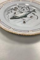 Royal Copenhagen Privat gemalt Flora Danica Fisch Teller Nr 3549