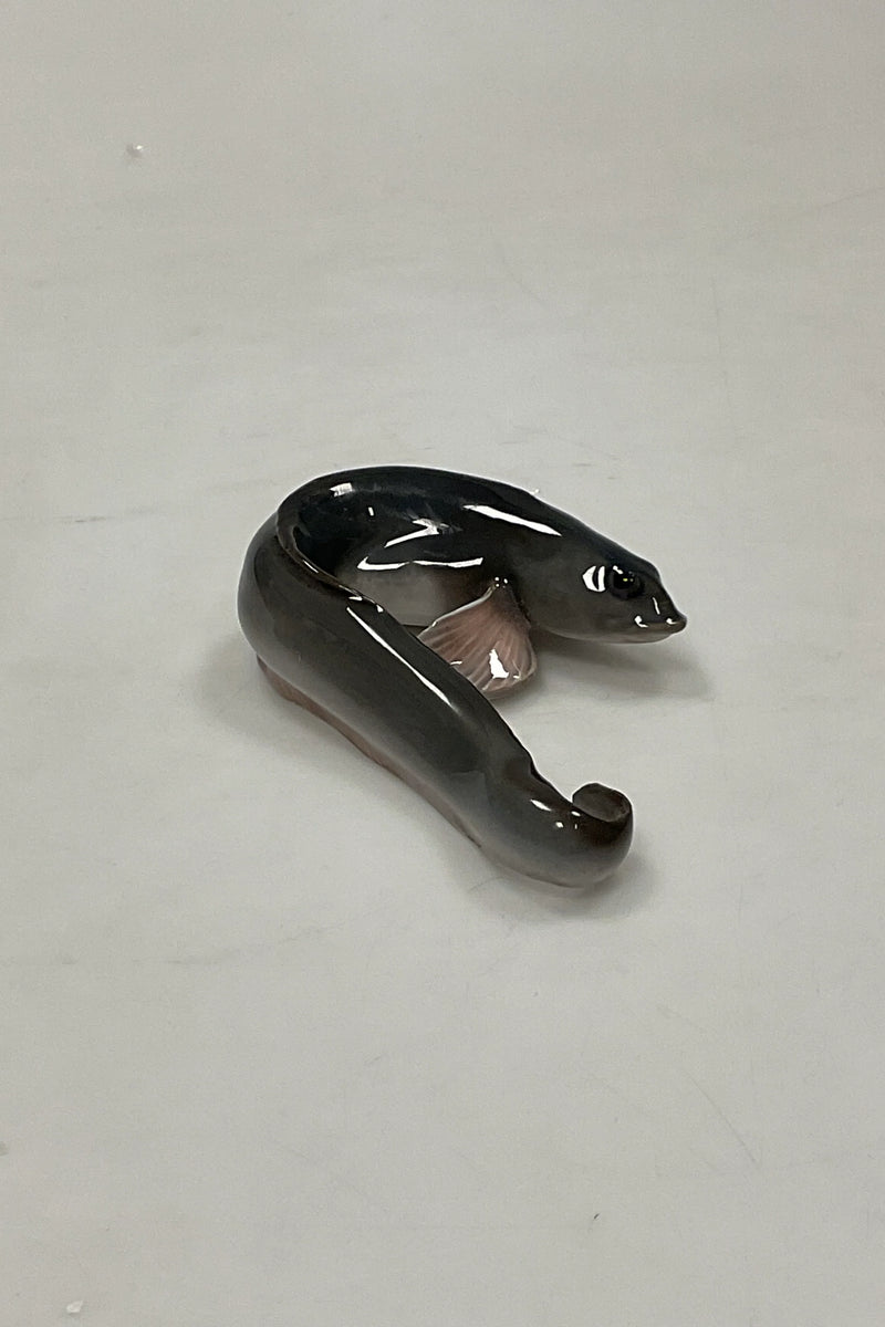 Royal Copenhagen Figur af Ålekvabbe No 462. Viviparous Blenny.