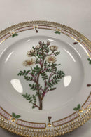 Royal Copenhagen Flora Danica Spisetallerken No. 624 (20/3549)