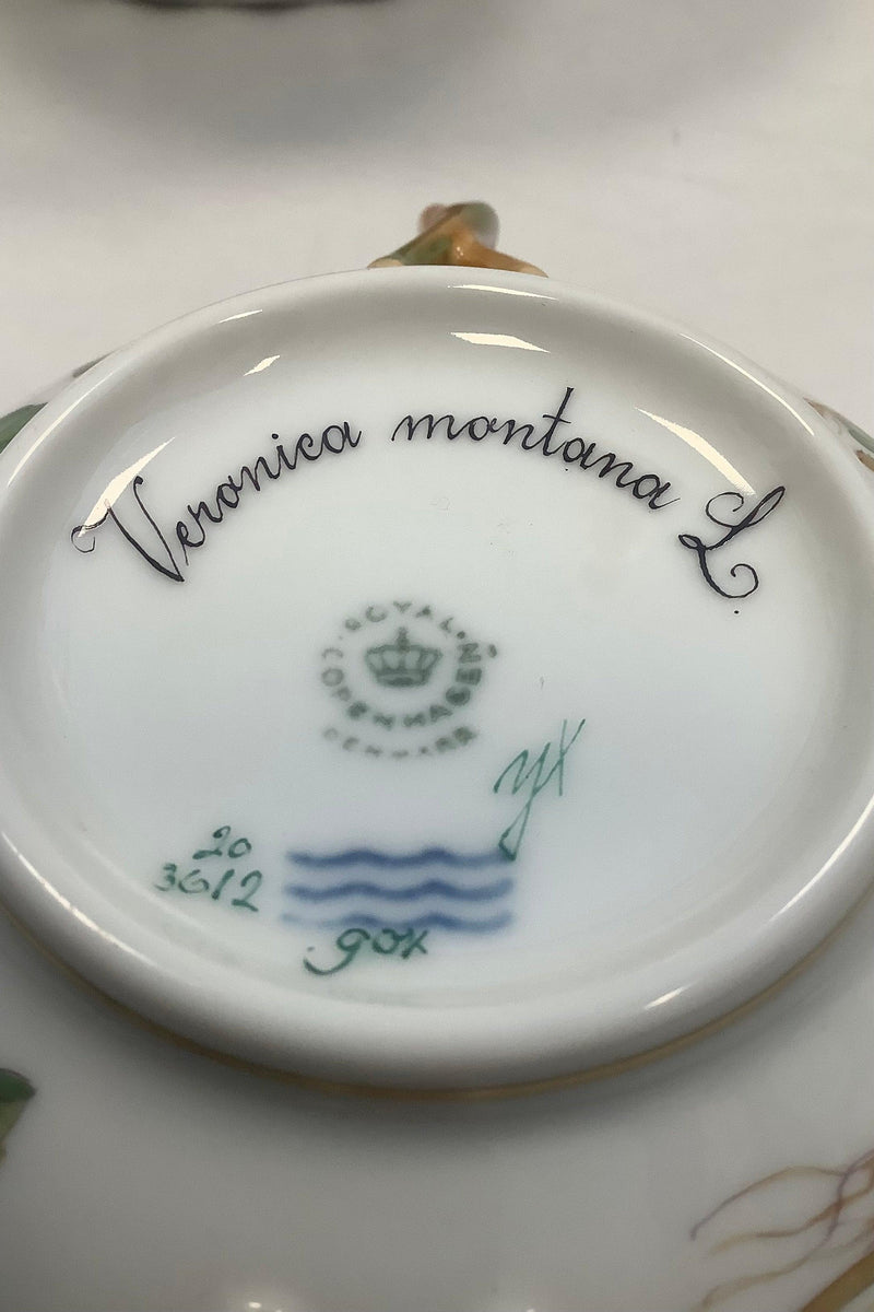 Royal Copenhagen Flora Danica Bouillon Kop med underskål No 20/3612