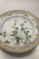 Royal Copenhagen Flora Danica Spisetallerken No. 624 ( 20 / 3549 )